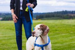 110-Silverback-050325-Event-0507