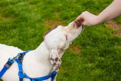 114-Silverback-050325-Event-0515