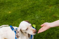 115-Silverback-050325-Event-0520