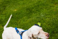 116-Silverback-050325-Event-0521