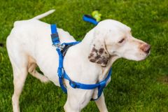 117-Silverback-050325-Event-0526